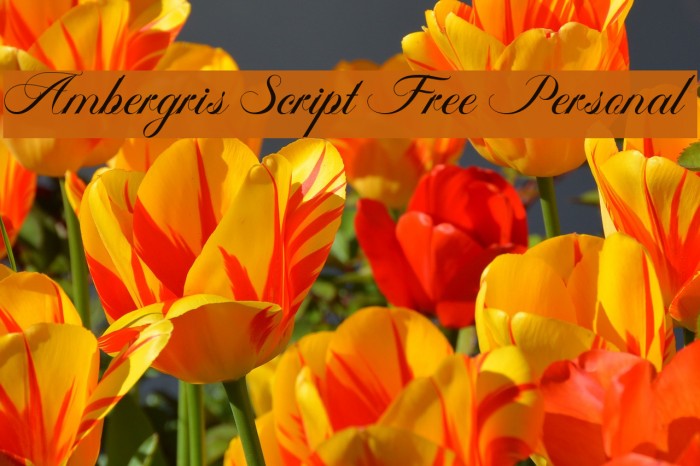Ambergris Script Free Personal Font examples