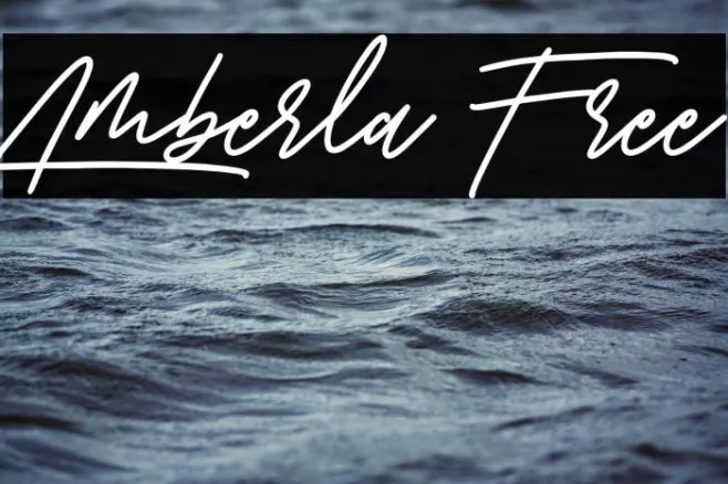 Amberla Free Example 1