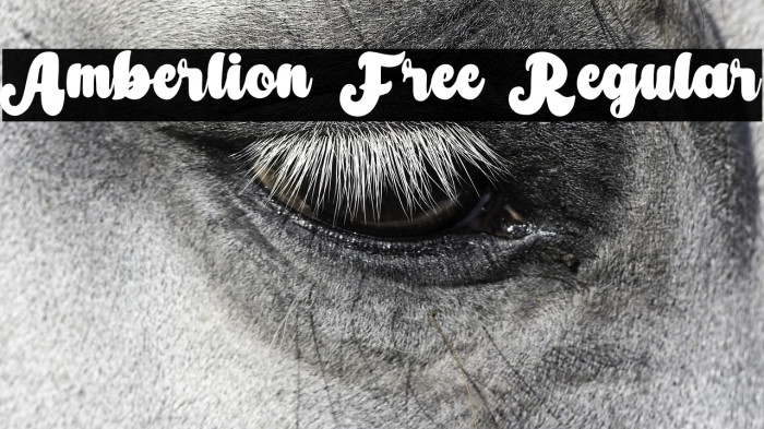 Amberlion Free Regular Example 2