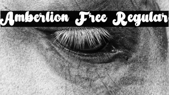 Amberlion Free Regular Font examples