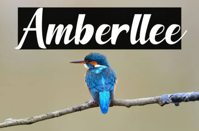 Amberllee Example 2