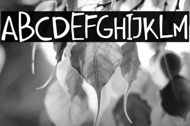 Amberly Font examples