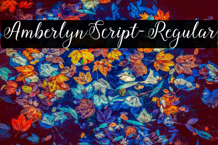 AmberlynScript-Regular Example 1