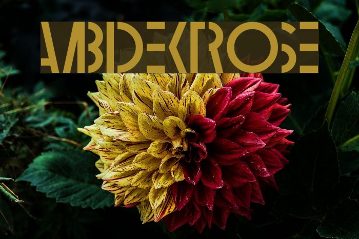 Ambidextrose Шрифта examples
