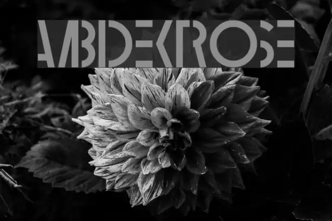 Ambidextrose Font examples