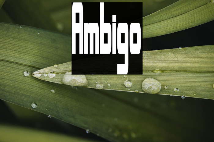 Ambigo Example 3