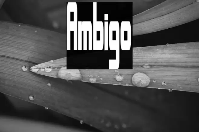 Ambigo Font examples