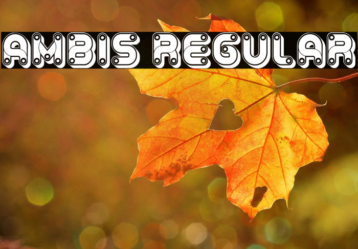 Ambis Regular Example 1