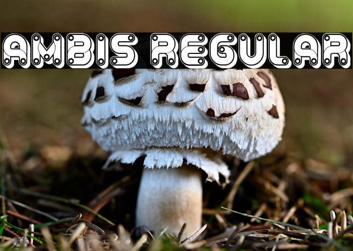 Ambis Regular Example 3