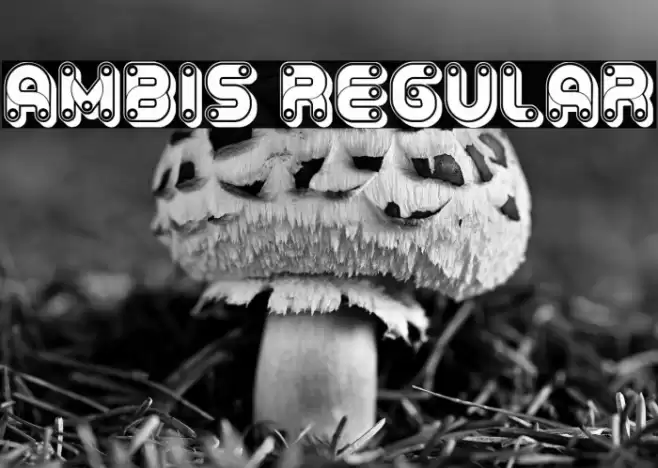 Ambis Regular Font examples