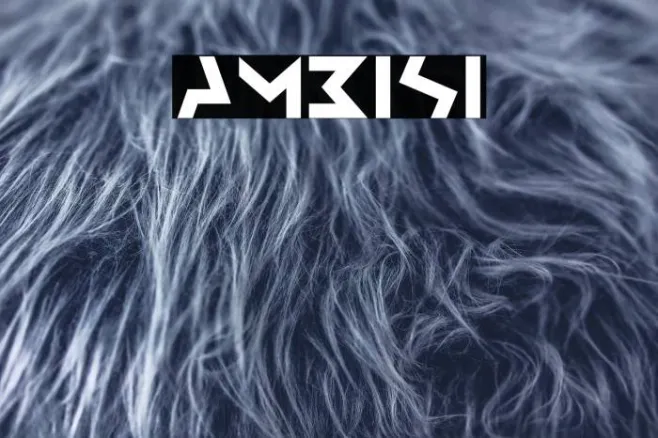 Ambisi Example 2