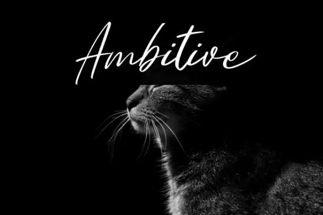 Ambitive Font examples