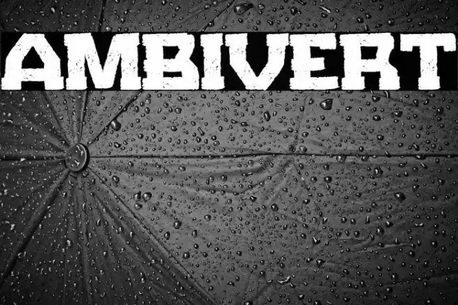 Ambivert Font examples