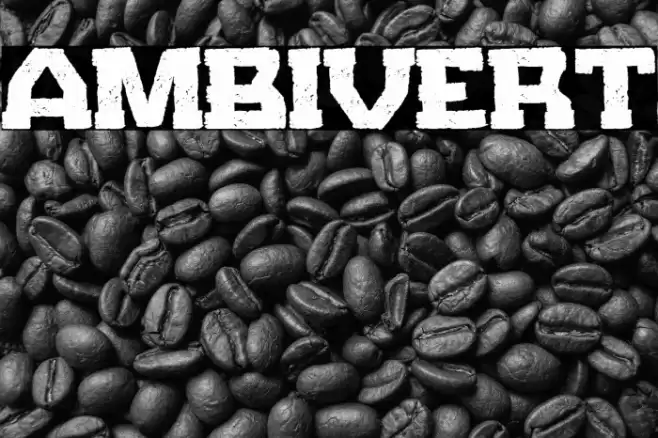 Ambivert Font examples