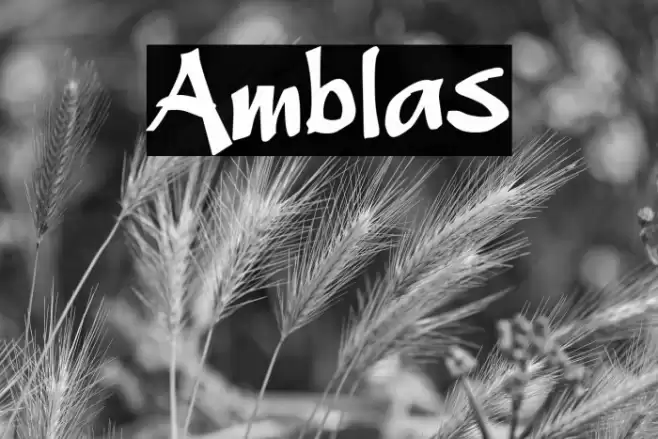 Amblas Font examples