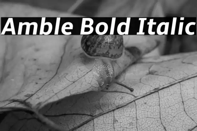 Amble Bold Italic Font examples