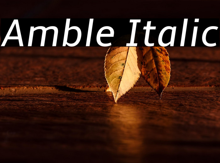 Amble Italic Example 1
