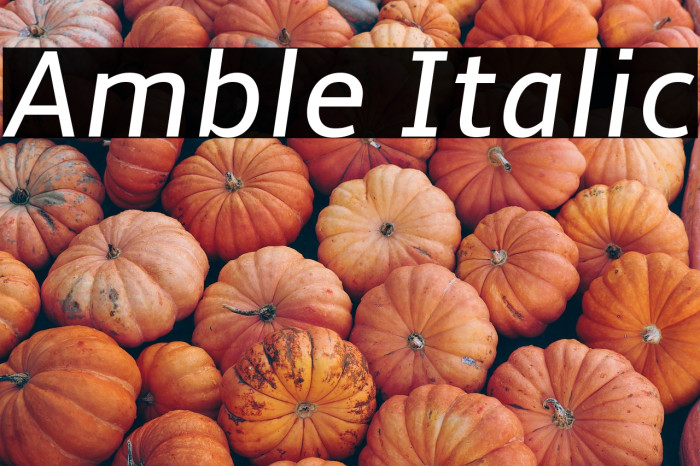 Amble Italic Example 2