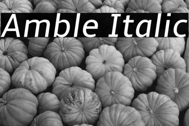 Amble Italic Font examples