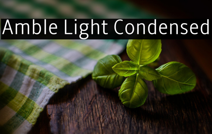 Amble Light Condensed Example 1