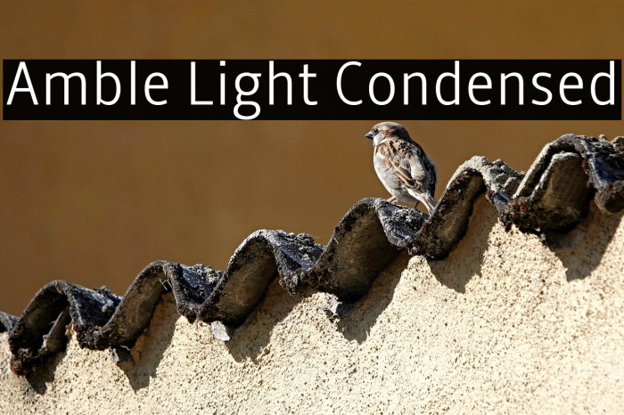 Amble Light Condensed Example 3
