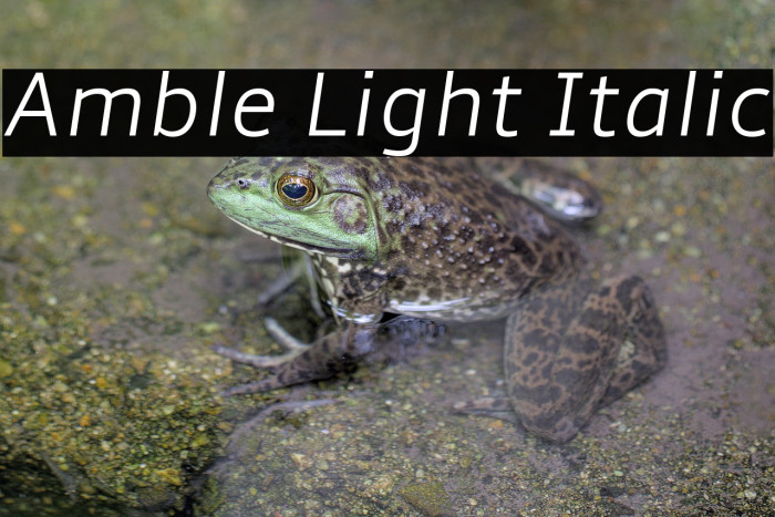 Amble Light Italic Example 2