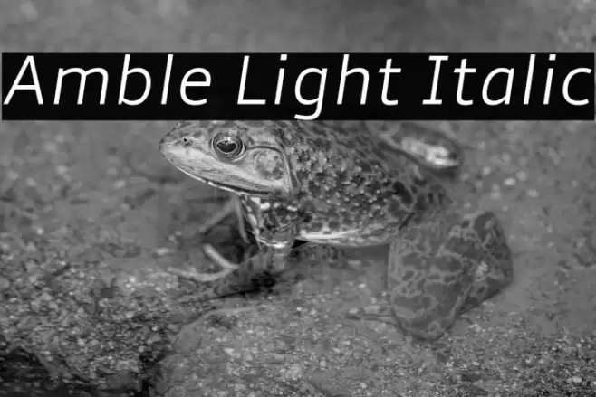 Amble Light Italic Font examples