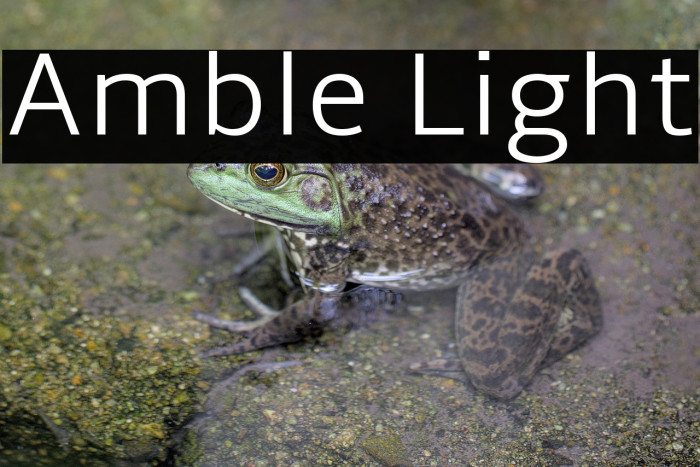 Amble Light Example 1