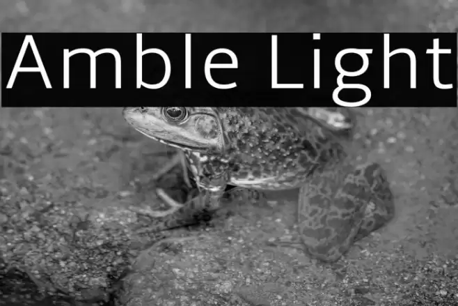 Amble Light Font examples