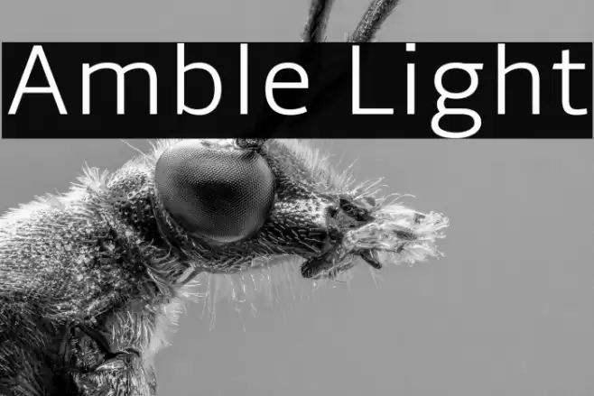 Amble Light Font examples