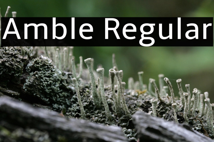 Amble Regular Example 1