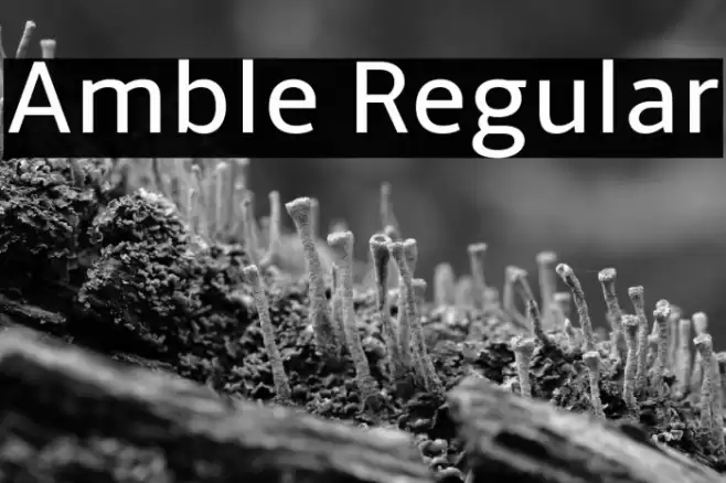 Amble Regular Font examples