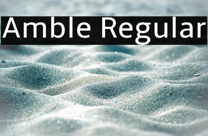 Amble Regular Example 2