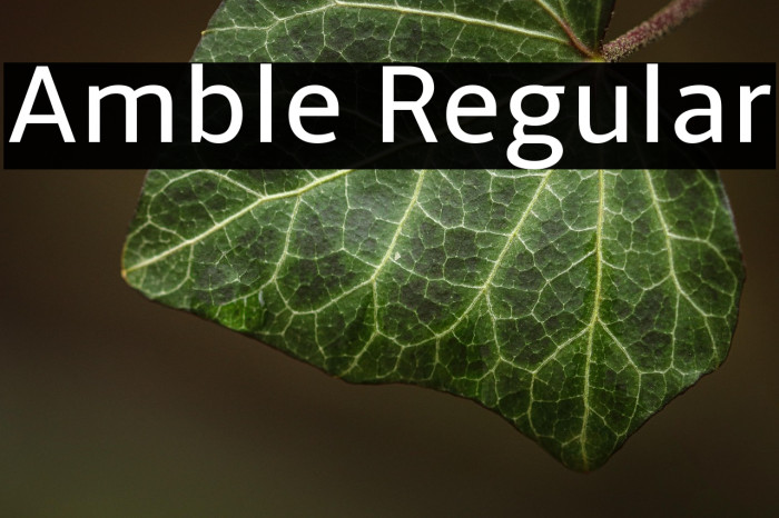 Amble Regular Example 3