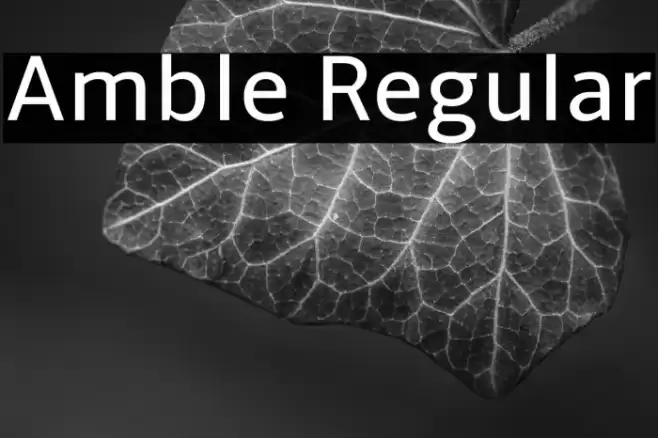 Amble Regular Font examples
