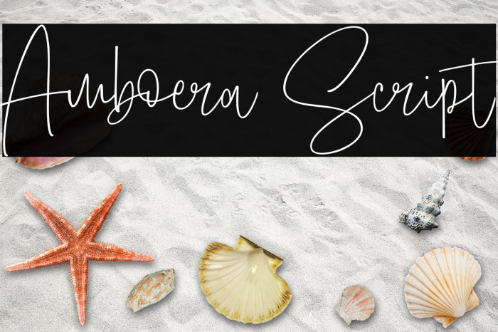 Amboera Script Example 2