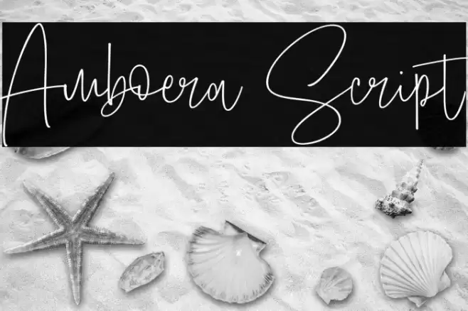 Amboera Script Font examples
