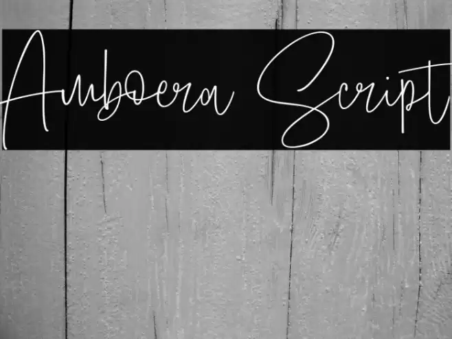 Amboera Script Font examples