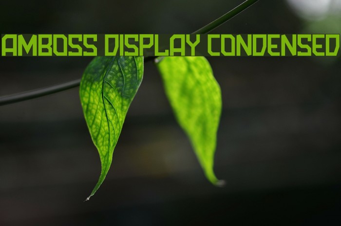 Amboss Display Condensed Font examples