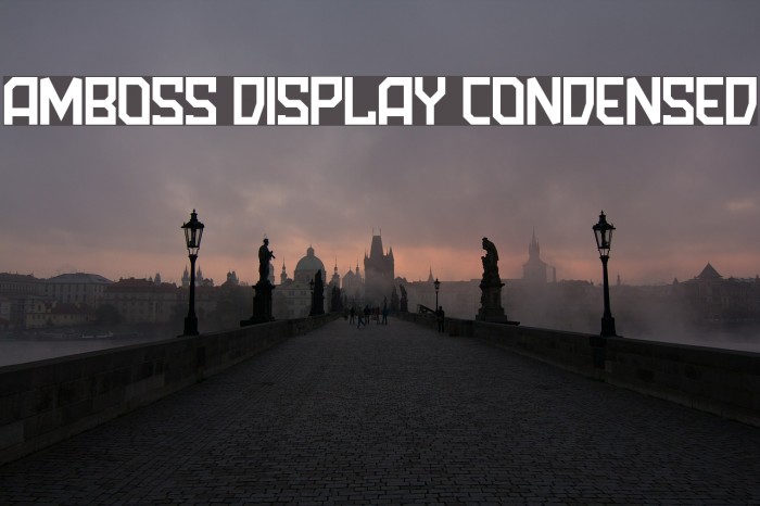 Amboss Display Condensed Font examples