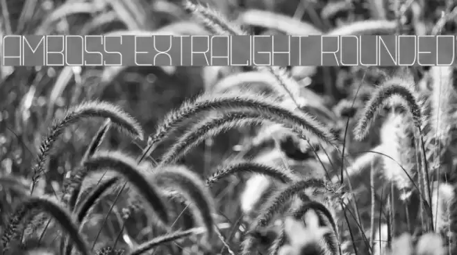 Amboss ExtraLight Rounded Font examples