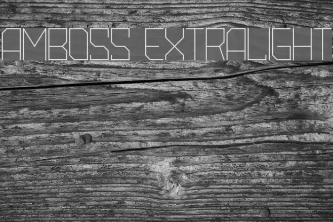Amboss ExtraLight Font examples