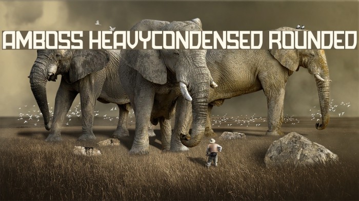 Amboss HeavyCondensed Rounded Example 1