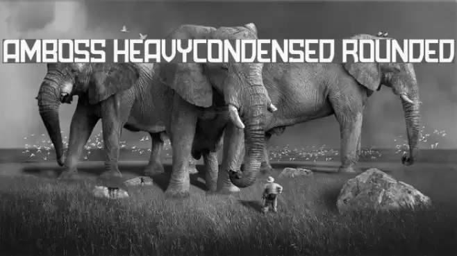 Amboss HeavyCondensed Rounded Font examples