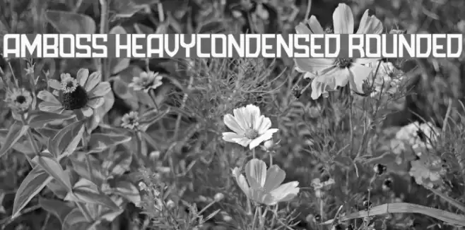 Amboss HeavyCondensed Rounded Font examples