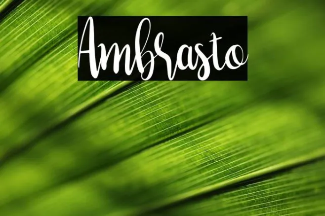 Ambrasto Example 2