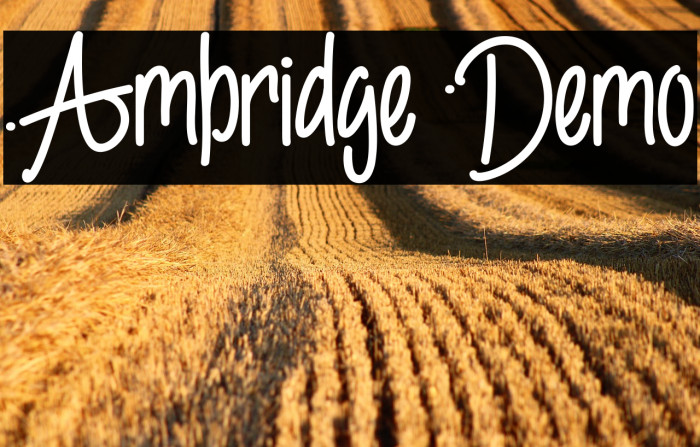 Ambridge Demo Example 2