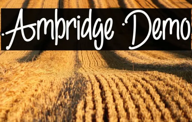 Ambridge Demo Example 2