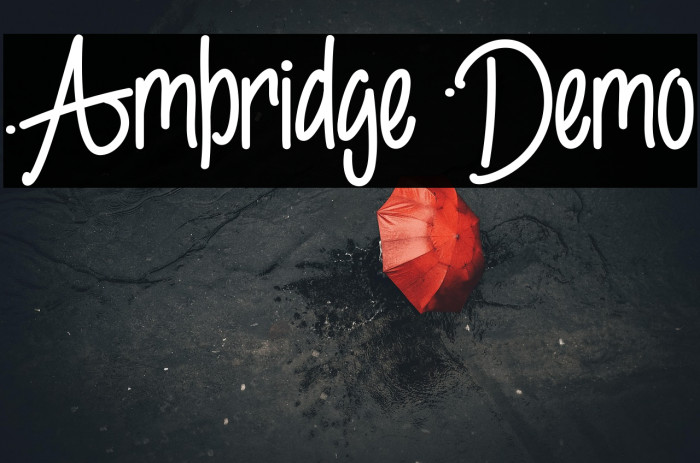 Ambridge Demo Example 3