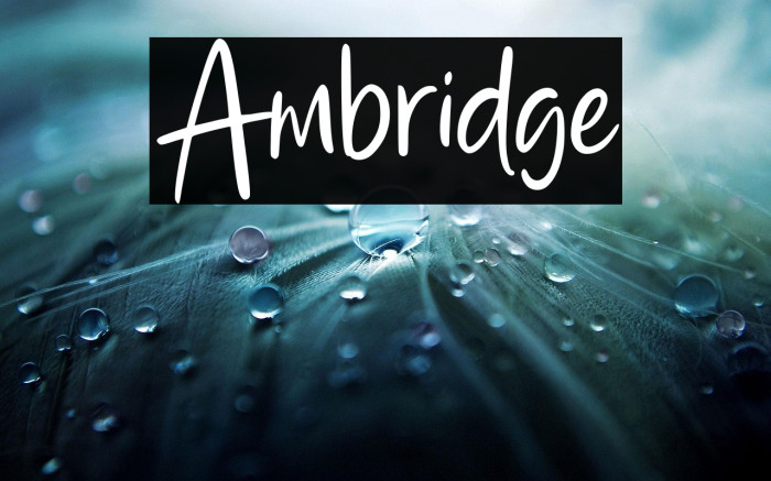 Ambridge Example 1